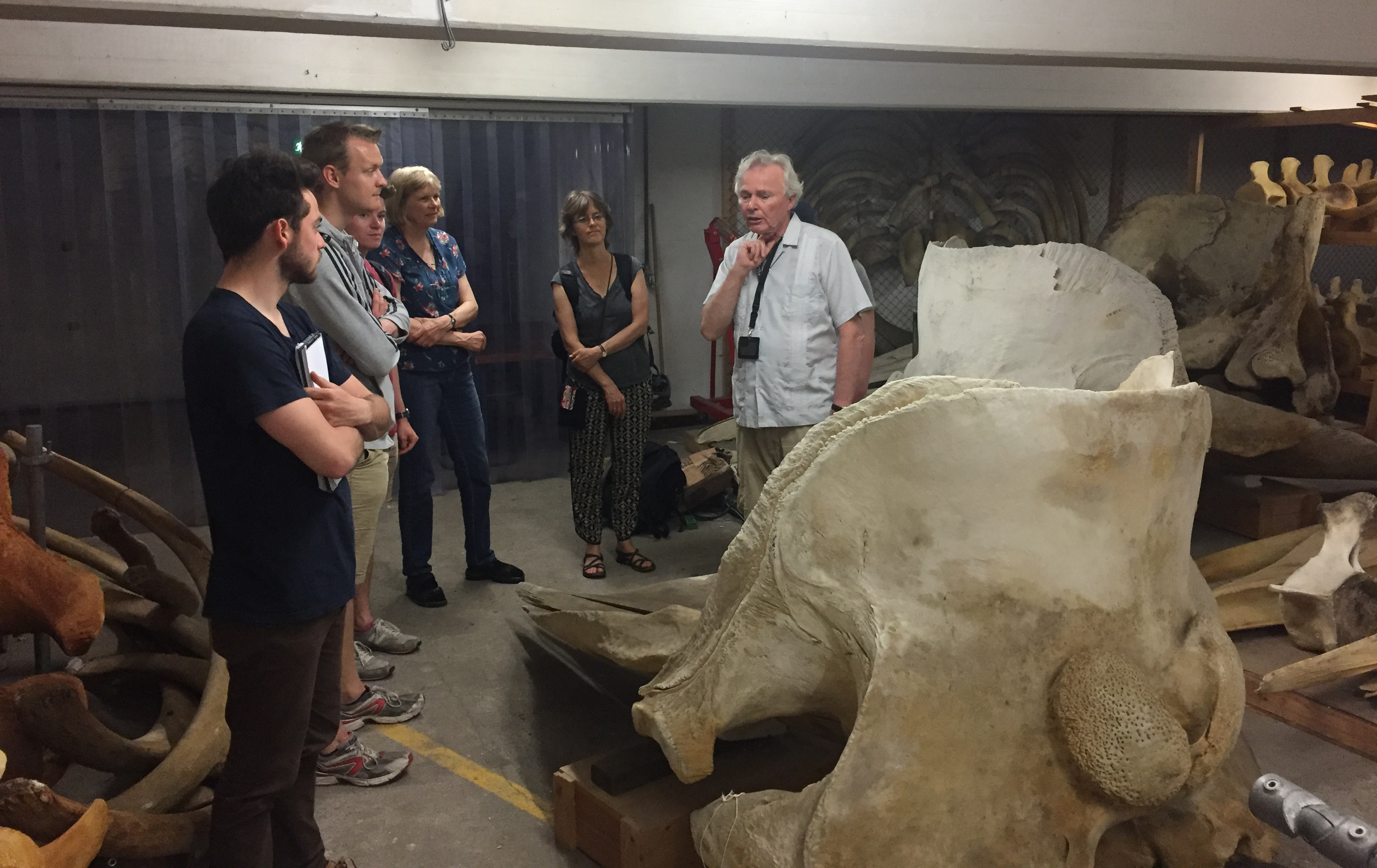 Professor Reinhardt Møbjerg Christensen presenting whale bones at the course "Arctic Nature and Society"